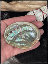 Load image into Gallery viewer, White sage, sweetgrass, and miniature abalone shell smudging kit - miniature abalone shell
